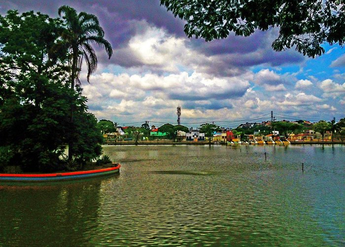 Lagoa dos Patos Guarulhos, SP # 12 | projeto200 photo