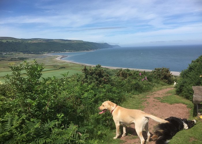 Holnicote Estate The Best Dog Walks Exmoor | Gala Bingo photo