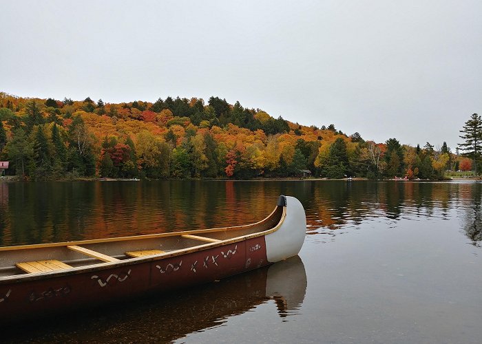 J. Albert Bauer Provincial Park Visit Algonquin Highlands: 2024 Travel Guide for Algonquin ... photo