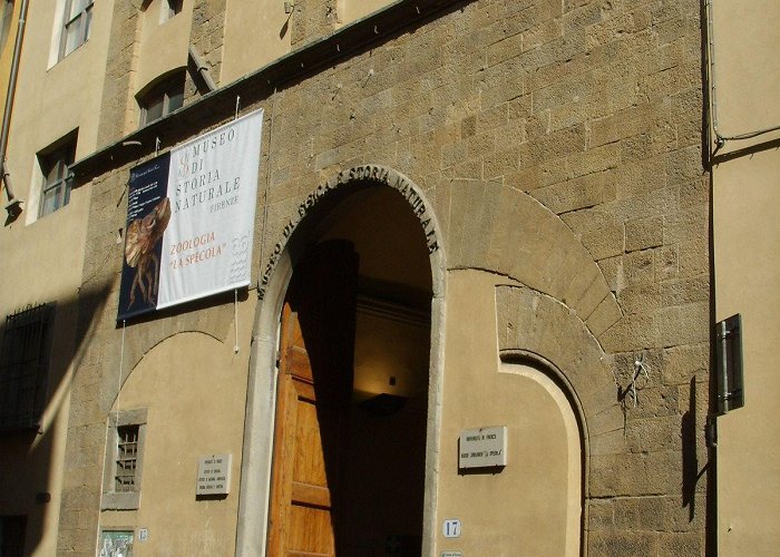 Museo Zoologico La Specola La Specola - Museum of Zoology and Natural History (Florence ... photo