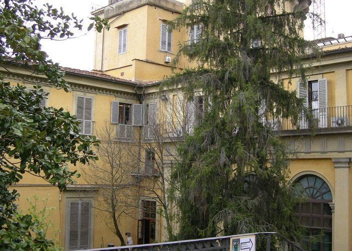 Museo Zoologico La Specola La Specola - Museum of Zoology and Natural History (Florence ... photo