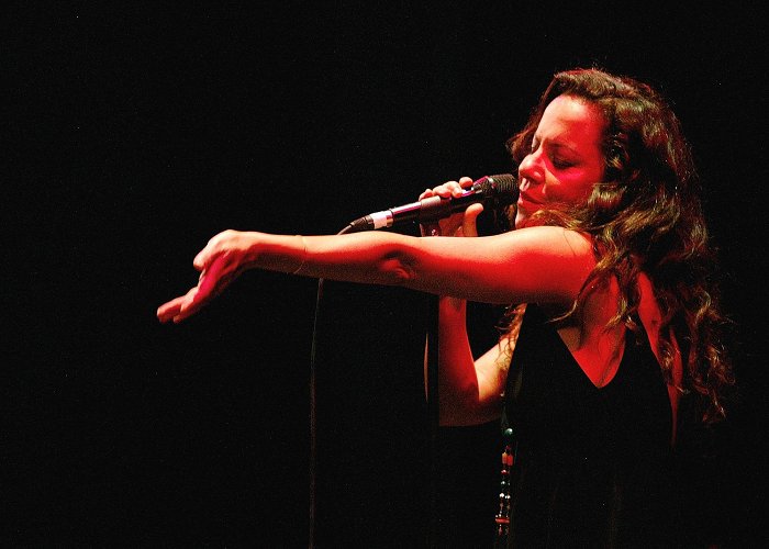 Diana Theatre On 'João', Brazilian singer Bebel Gilberto honors her late father ... photo