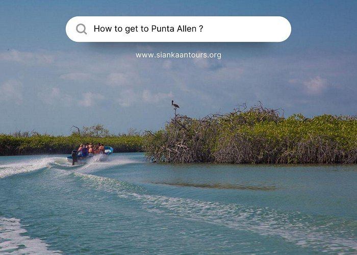 Sian Ka´an Biosphere Reserve How to get to Punta Allen? Ultimate Guide 2024 photo