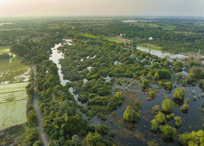 Vedanthangal Bird Sanctuary Tamil Nadu Wetlands Mission photo