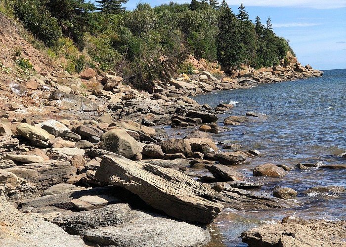 Powells Point Provincial Park Little Harbour, Nova Scotia: All You Must Know Before You Go (2024 ... photo