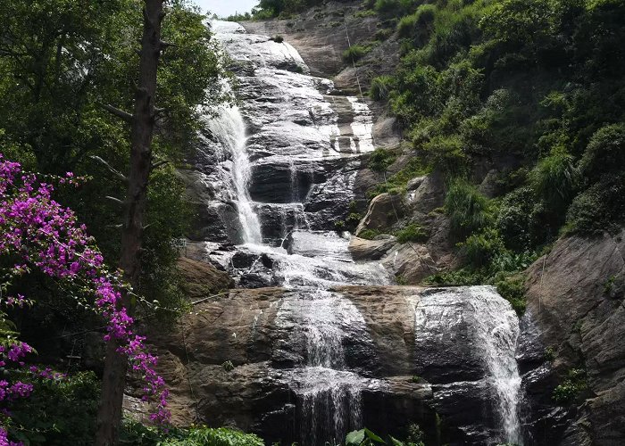 Bear Shola Falls Bear Shola Falls | Tamil Tourism photo