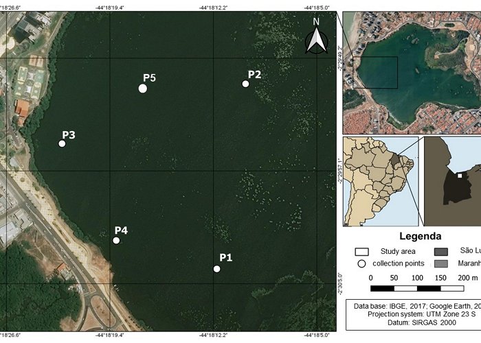 Jansen Lagoon Water | Free Full-Text | Comparative Study of Two Organic Wastes ... photo