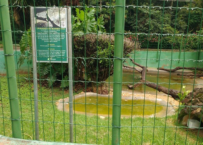 Zoo Former nile monitor exhibit, now holding some bearded sliders ... photo