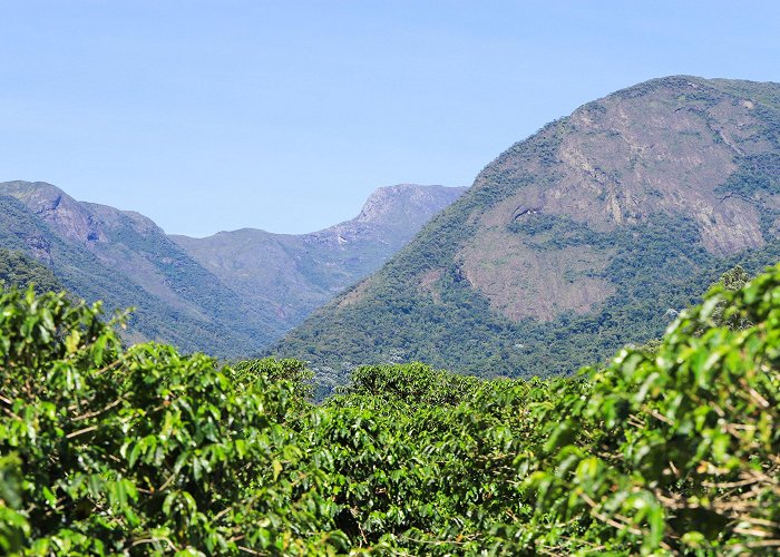 Bandeira Peak Caparao National Park Tours - Book Now | Expedia photo