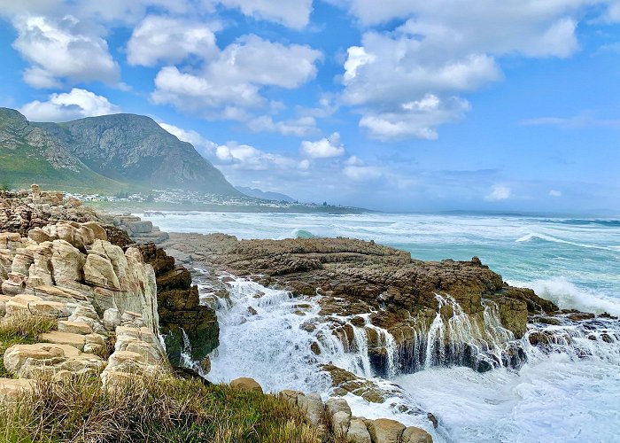 Hermanus photo