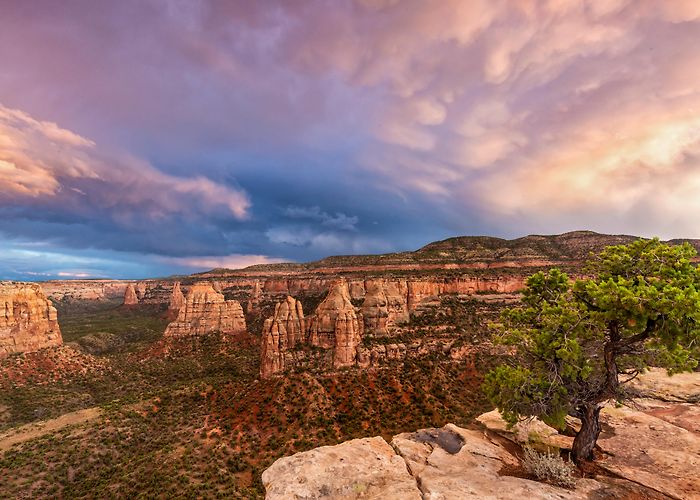 Fruita photo