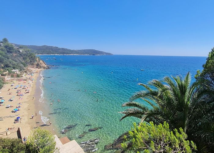 La Croix-Valmer photo