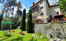 Hotel Vila Felix Sinaia Exterior photo