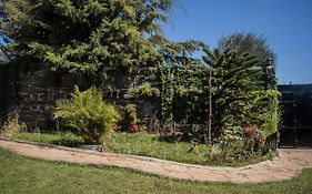 Room In Bungalow - Reens Vacation Rental Home Nakuru Exterior photo