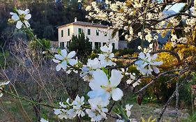 Gasthaus Agroturisme Finca Sa Maniga Bunyola Exterior photo