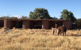 Eco-Lodge El Andinista San Pedro de Atacama Exterior photo