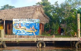 Bed and Breakfast Palmento Grove Garifuna Eco-Cultural & Healing Institute Hopkins Exterior photo