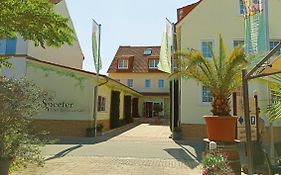 Hotel Speeter Weisenheim am Berg Exterior photo