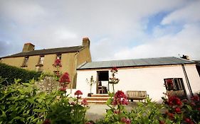 Bed and Breakfast Blas Gwyr Llangynydd Exterior photo