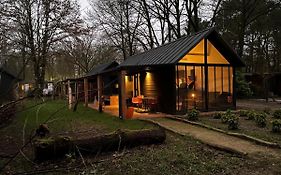 Tiny Lodges & Prive-Chalets In De Brabantse Natuur Diessen Exterior photo