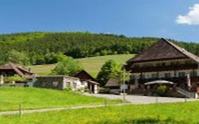 Landgasthaus Grüner Baum Simonswald Exterior photo