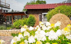 Spreewald Pension Tannenwinkel Lübbenau Exterior photo