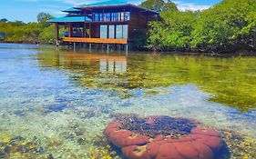 Bahia Coral Lodge Bocas del Toro Exterior photo