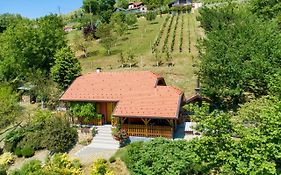 Villa Kuca Za Odmor Hiza I Vila Krapina Exterior photo