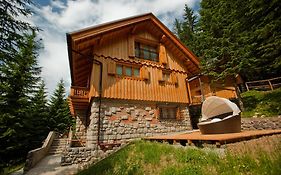 Ferienwohnung Vila Triglav On Pokljuka Goreljek Exterior photo