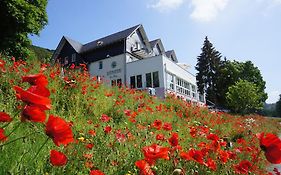 Waldhotel Schinkenwirt Olsberg Exterior photo