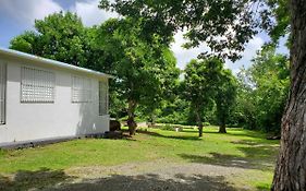 Crab Island Adventures Apartments Vieques Exterior photo