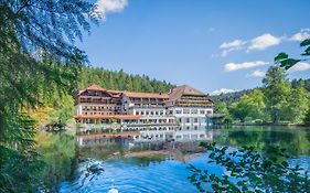 Hotel Langenwaldsee Freudenstadt Exterior photo