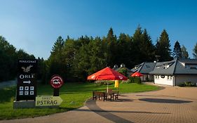 Hotel Pensjonat Orle Krynica-Zdrój Exterior photo