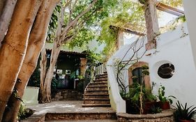 Hotel Casa Quetzal San Miguel de Allende Exterior photo