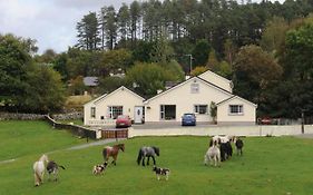 Villa Muckross Riding Stables Killarney Exterior photo