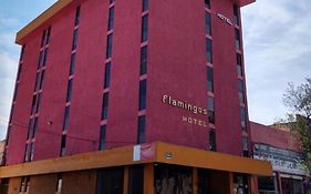 Hotel Flamingos Guadalajara Exterior photo