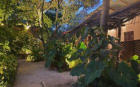 Atii Garden Bungalows Nungwi Exterior photo
