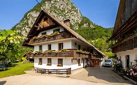 Ferienwohnung Turisticna Kmetija Pri Andreju Bohinj Exterior photo