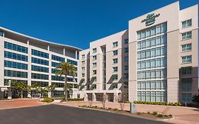 Homewood Suites By Hilton Tampa Airport - Westshore Exterior photo