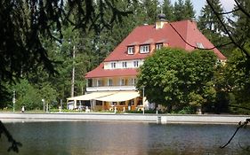 Hotel Waldsee Lindenberg im Allgäu Exterior photo