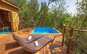 Au Jardin Des Colibris Ecolodge&Spa Deshaies Exterior photo