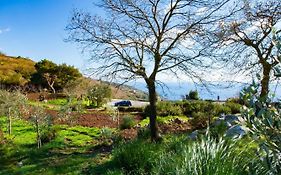 Villa Agriturismo Fattoria Terranova SantʼAgata sui Due Golfi Exterior photo