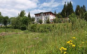 Das Waldhotel - Genuss&Wellness am Notschreipass Todtnau Exterior photo