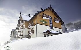 Hotel Pensjonat Gaborek Krynica-Zdrój Exterior photo