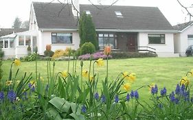 Bed and Breakfast Glen Na Smole Wicklow Exterior photo