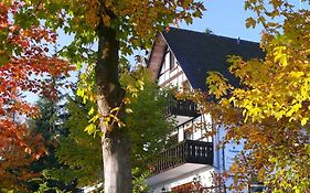 Hotel Pension Stiegelmeier Winterberg Exterior photo