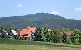 Hotel Pension Haus am Wald Braunlage Exterior photo