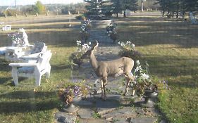 Bed and Breakfast Wakamow Heights Bed&Breakfast Moose Jaw Exterior photo