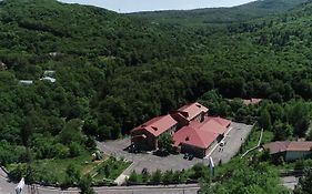 Tsaghkahovit Hotel Zaghkadsor Exterior photo