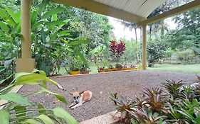 Villa Anacahuita, Limonal Jarabacoa Exterior photo